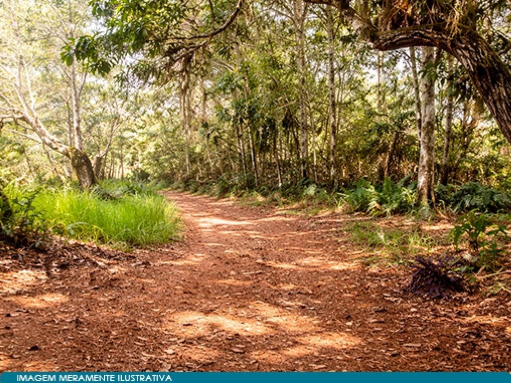Imagem 16 - Estrada Doutor Bezerra de Menezes, 900, Torrão de Ouro II, São José dos Campos, SP