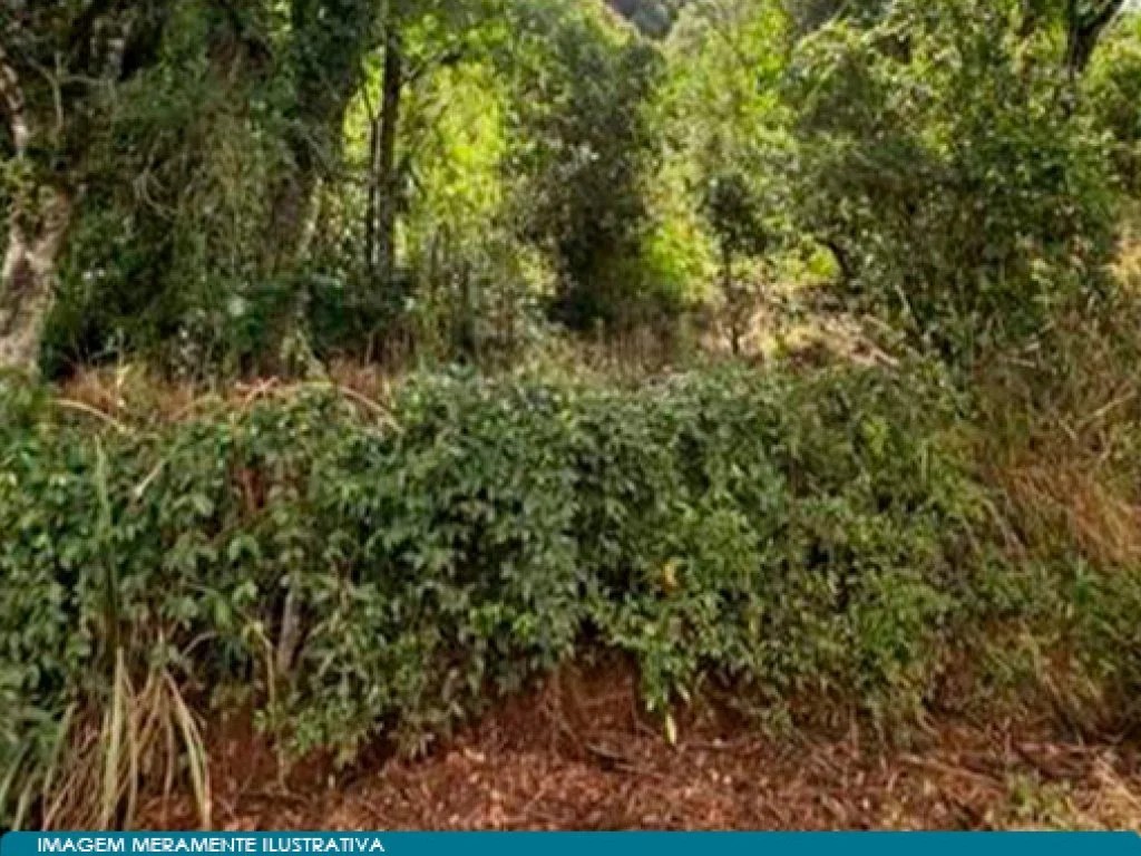 Imagem 30 - Vargem Bonita, SC