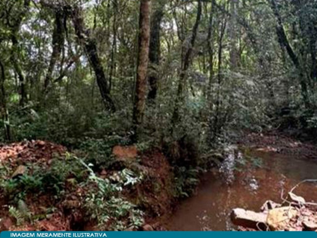 Imagem 32 - Vargem Bonita, SC