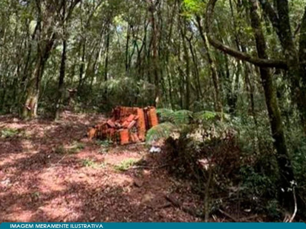 Imagem 33 - Vargem Bonita, SC