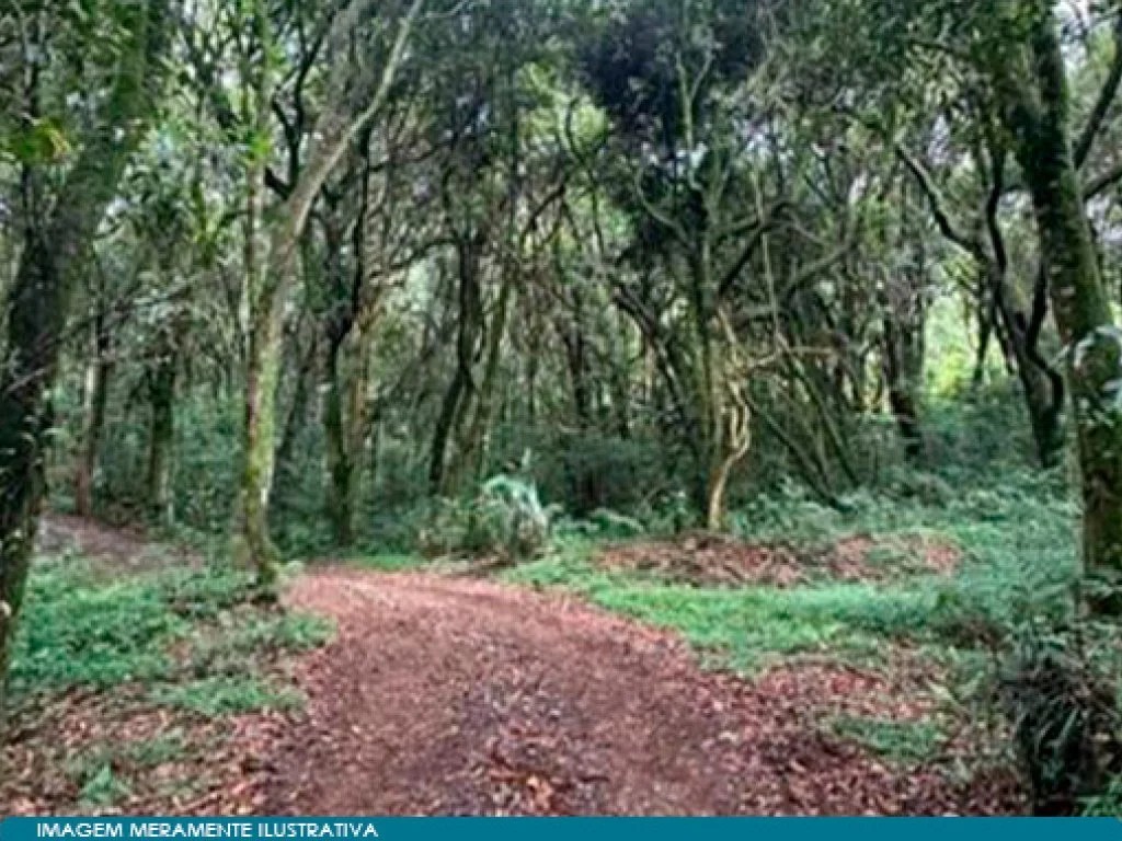 Imagem 56 - Vargem Bonita, SC
