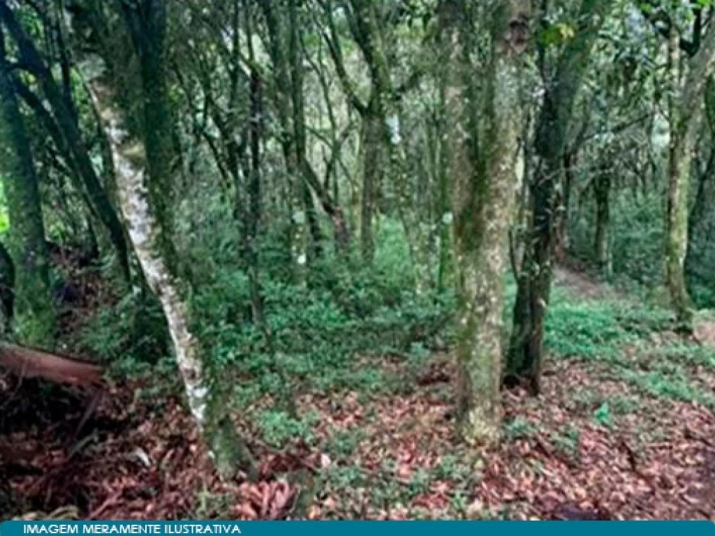 Imagem 66 - Vargem Bonita, SC